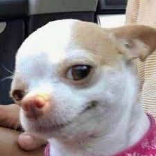 คุณนัท (สายชิล)